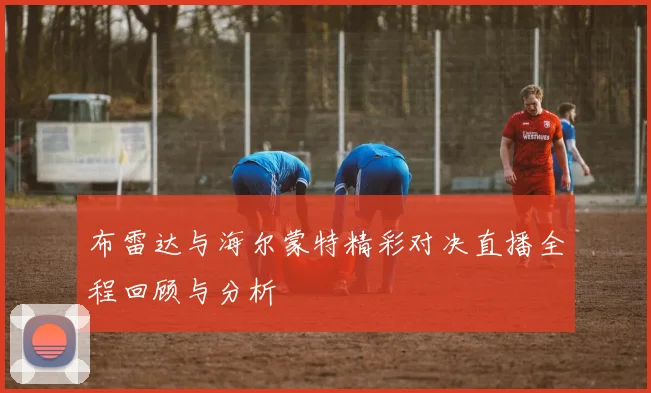 布雷达与海尔蒙特精彩对决直播全程回顾与分析