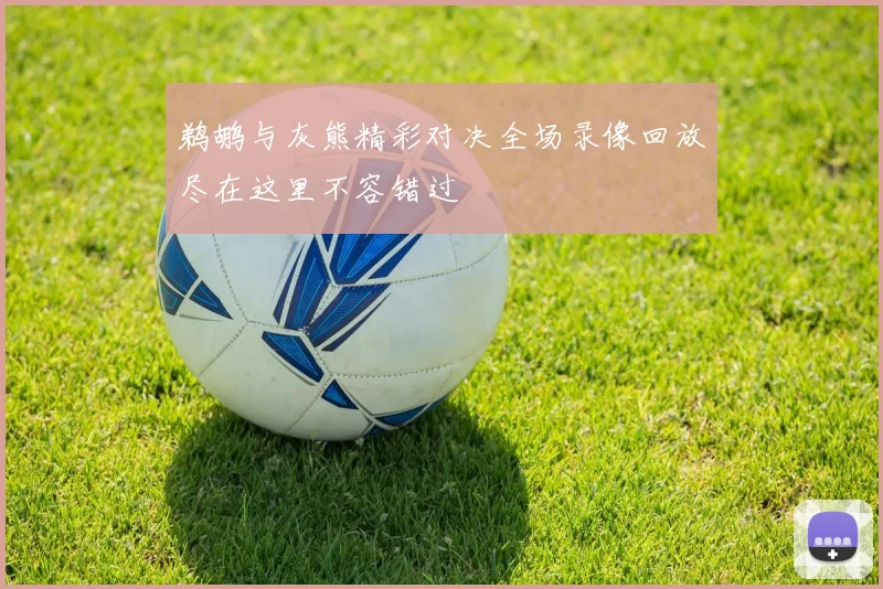 鹈鹕与灰熊精彩对决全场录像回放尽在这里不容错过